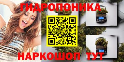 альфа пвп Ачхой-Мартан