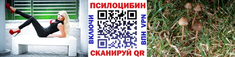 Галлюциногенные грибы MAGIC MUSHROOMS  OMG сайт  Магнитогорск 